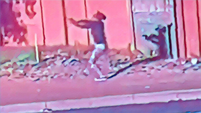 Edited in Prisma app with Painter Elsies River gang violence