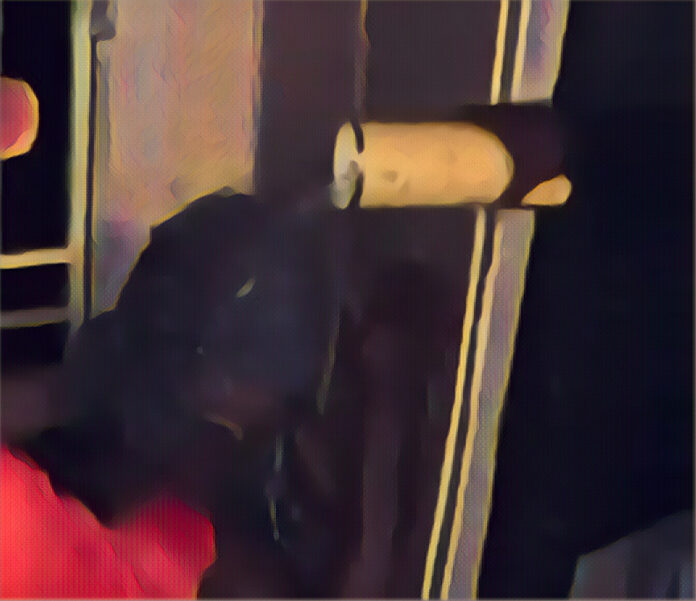 Torture Videos From Pretoria Nightclub Spark Human Rights Concerns