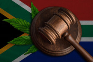 Police arrest of two foreign nationals for suspected crystal meth trafficking shows SA's war against drug trafficking.
