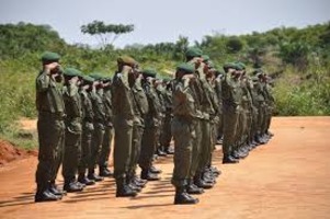 At least 75 DRC soldiers face trial for desertion and violent acts, including murder and looting, amid the ongoing conflict with Rwanda-backed M23 rebels. The trial begins Monday.