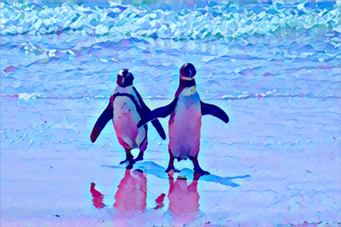 African Penguin protection in South Africa