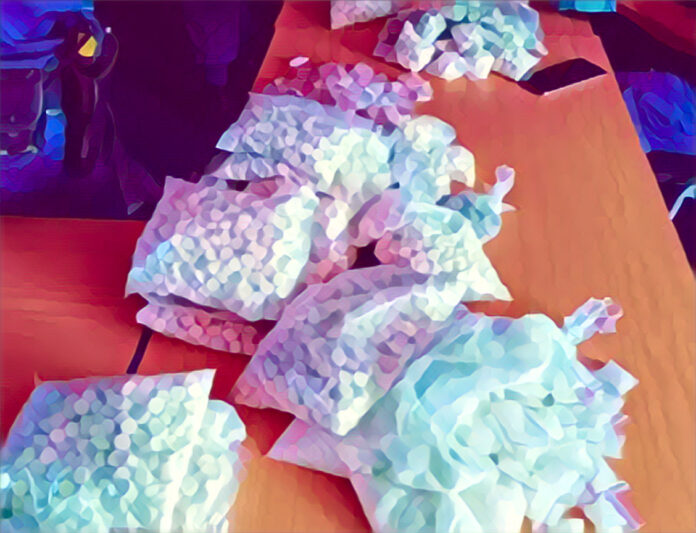 Foreign National Arrested in Cape Town Drug Raid