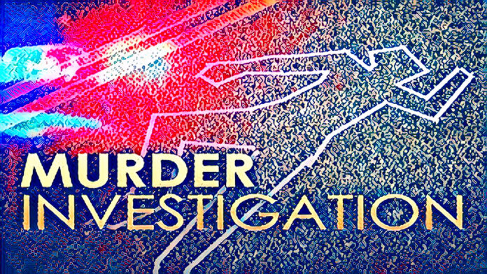 investigation Umgeni River