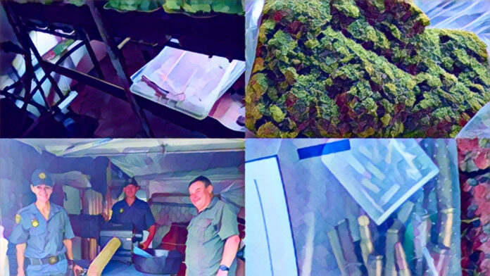 Potchefstroom dagga lab