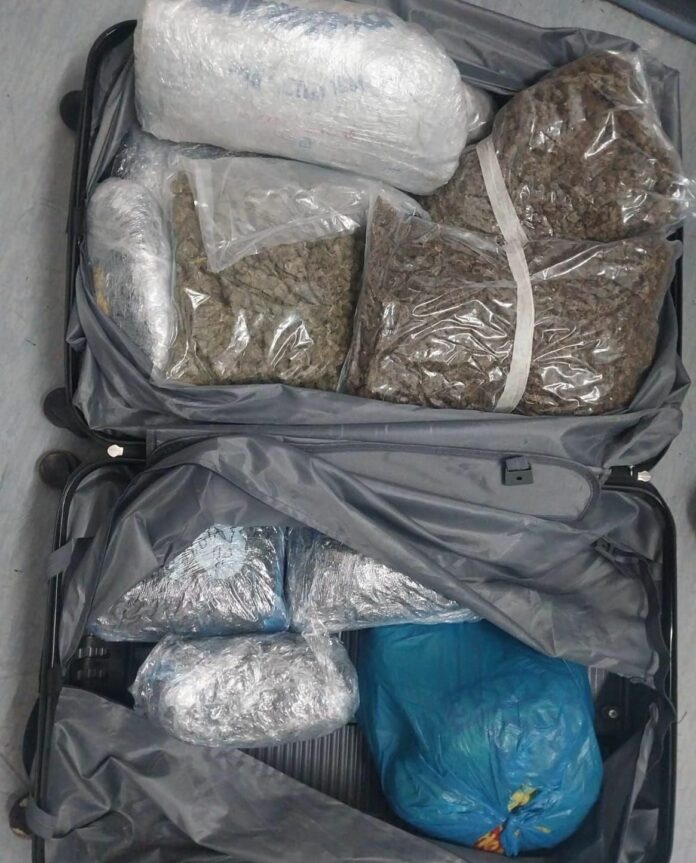 Western Cape police seize dagga during Central Karoo operations