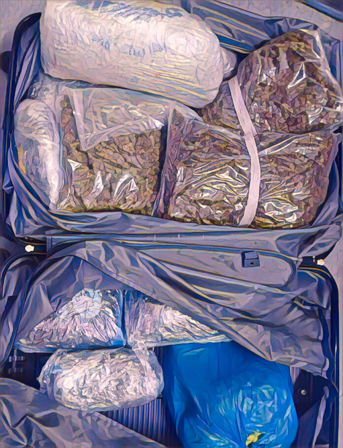 Western Cape police officers seize dagga during N1 roadblock near Beaufort West.