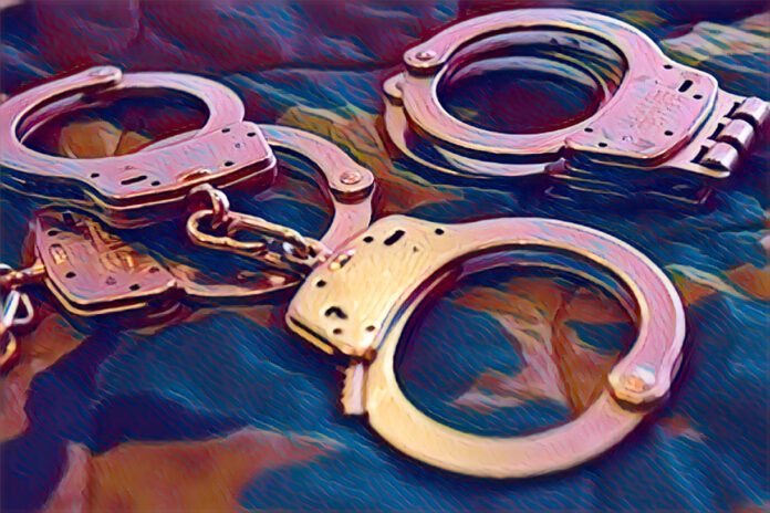 KwaZulu-Natal police crime crackdown in April
