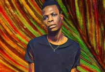 Life Imprisonment for Limpopo Rapist Who Ruined New Year’s Eve Celebration