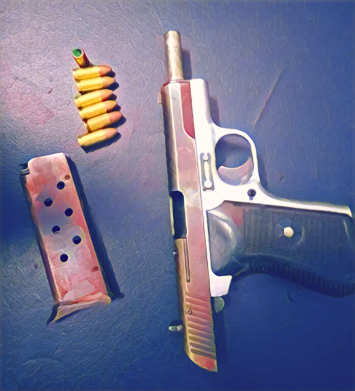 TRT officers arrest suspects and seize illegal firearms in Bhityi during tactical operation.